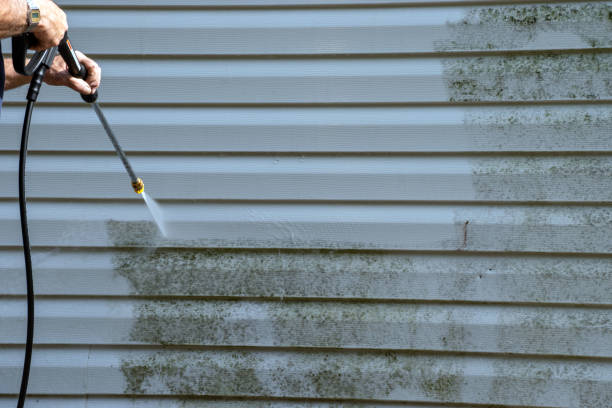 Best Brick Veneer Siding  in Huntersville, NC