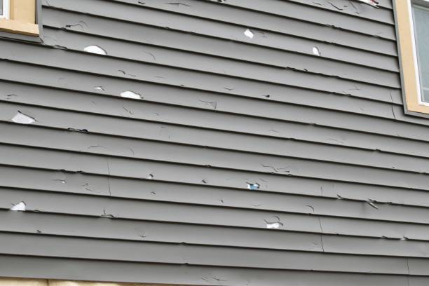 Best Fiber Cement Siding Installation  in Huntersville, NC